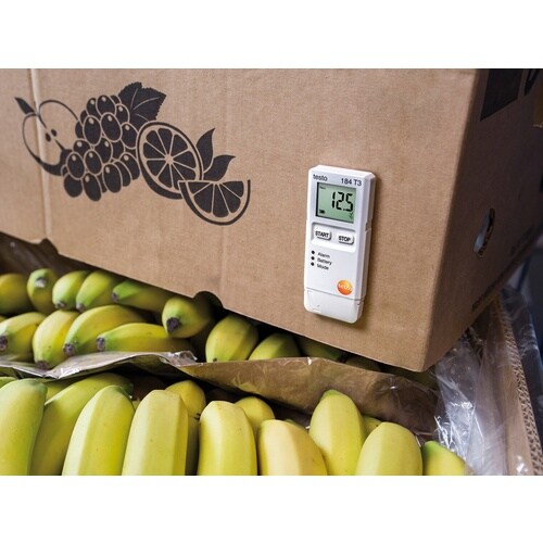 TESTO 温度データロガー testo 184