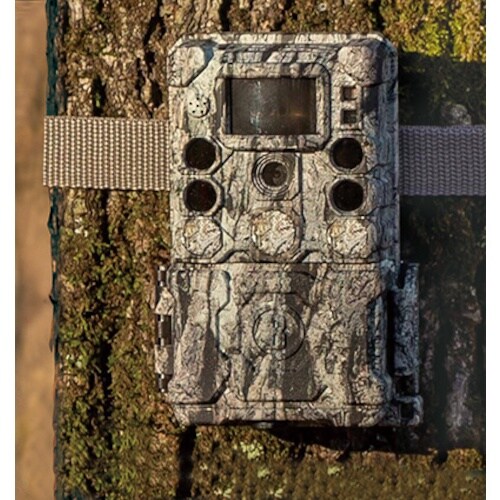 Bushnell トロフィーカムXLT30MPノー