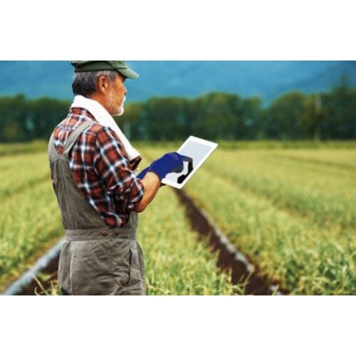 アトム ケミソフトスマホ対応−L