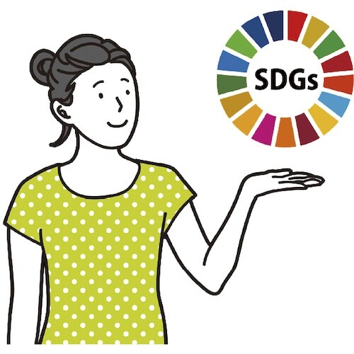 CAR−BOY 点滅灯設置可能タイプ 穴あきコーン