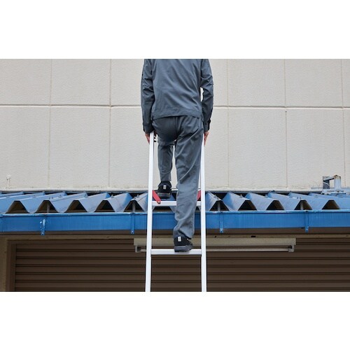 ハセガワ ラクノリ2連はしごスタビライザー付き6.