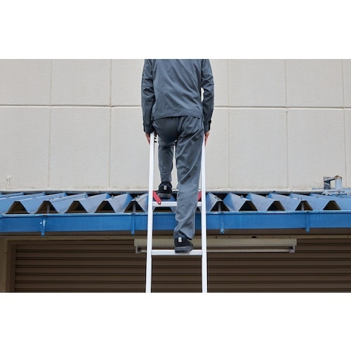 ハセガワ ラクノリ2連はしご脚部伸縮タイプ5.41