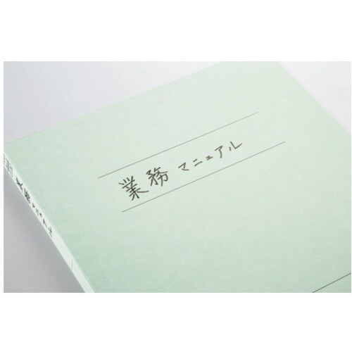 PLUS 79935)抗菌フラットファイル No.