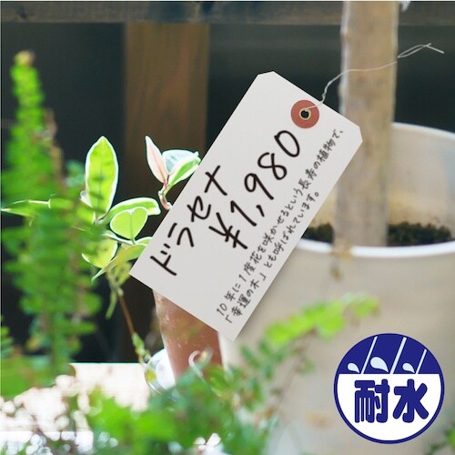 ササガワ 布荷札 白 防水加工仕上