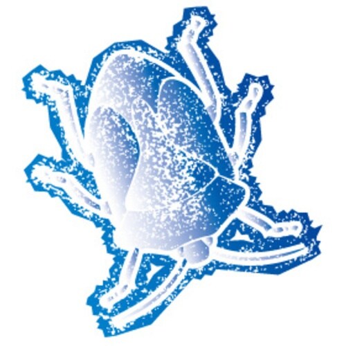 フマキラー 凍殺ジェット300ml