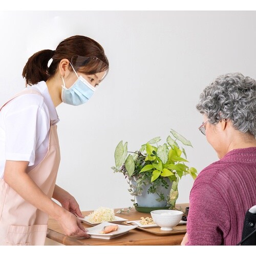 竹虎 タケトラシールド付マスクTC 25枚入