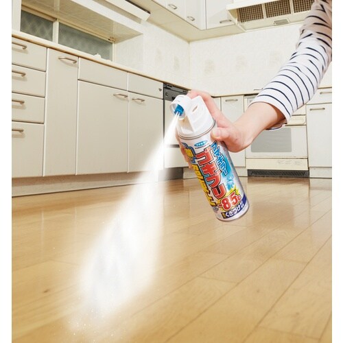 フマキラー ゴキブリ超凍止ジェット除菌プラス210