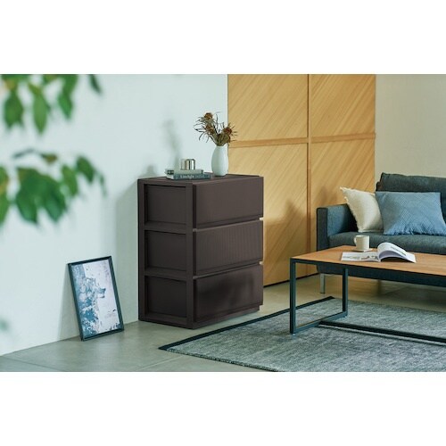 TENMA PRXスタイルケース組立式 6503深