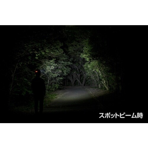 GENTOS LED抗菌加工ヘッドライト AG33