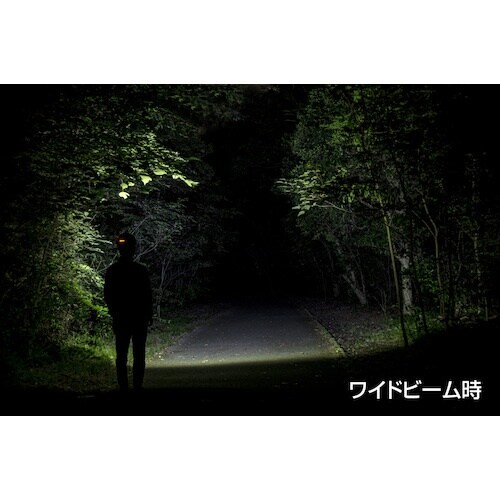 GENTOS LED抗菌加工ヘッドライト AG33