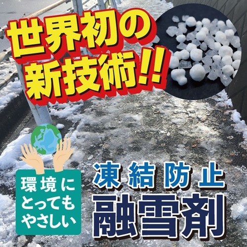 高森コーキ 凍結防止・融雪剤エコワンダーEX 10