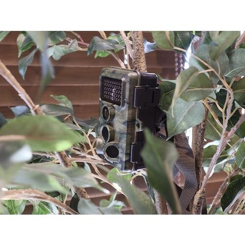 サンコー 置くだけ簡単「トレイル防犯カメラ」