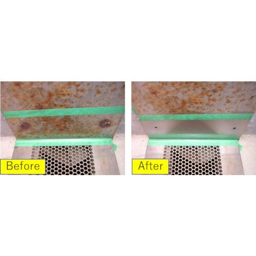 ビアンコ ステンクリーナー(300g)