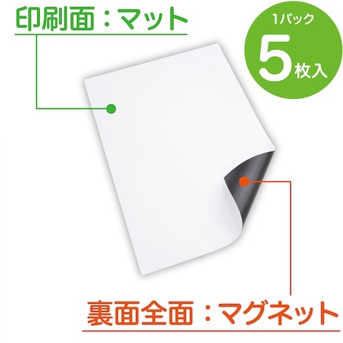 マグエックス ぴたえもんレーザー 強力 (A3)