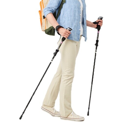 アイメディア リュックに入るウォーキングポール