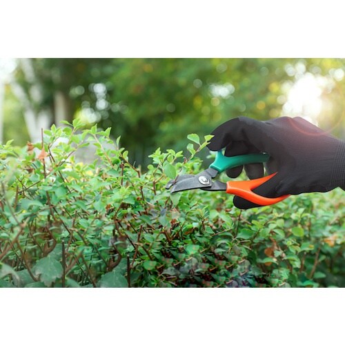 おたふく ソフキャッチ 13G 袖口ロング ウレタ