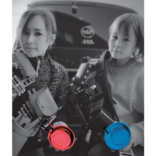 SK マグ皿 磁短 彩