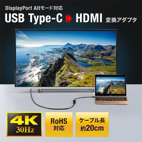SANWA USB Type C−HDMI変換アダ