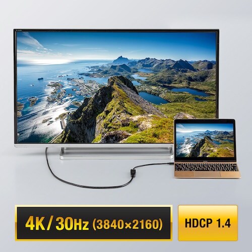 SANWA USB Type C−HDMI変換アダ