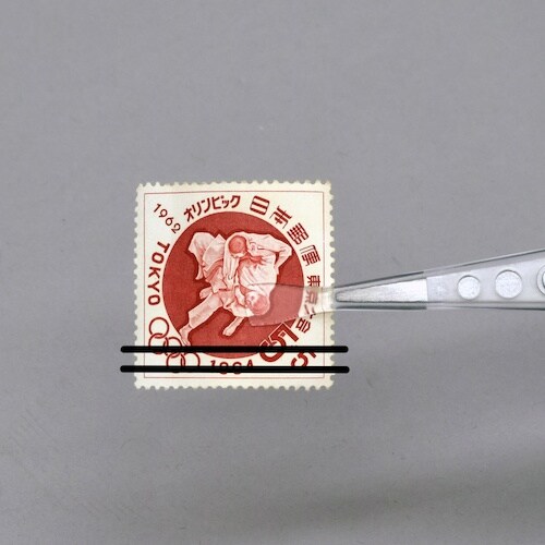 HOZAN 透明チップピンセット