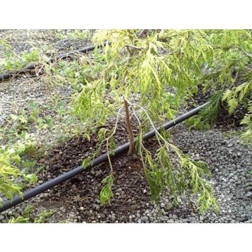 グローベン 16mmドリップチューブ150mmピッ