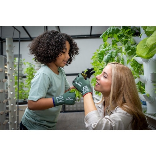 Ansell ニトリル背抜き手袋 ハイフレックス