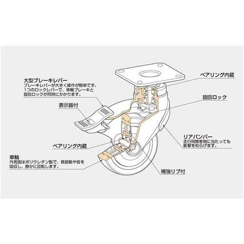 SUGATSUNE (200132730)EX−1