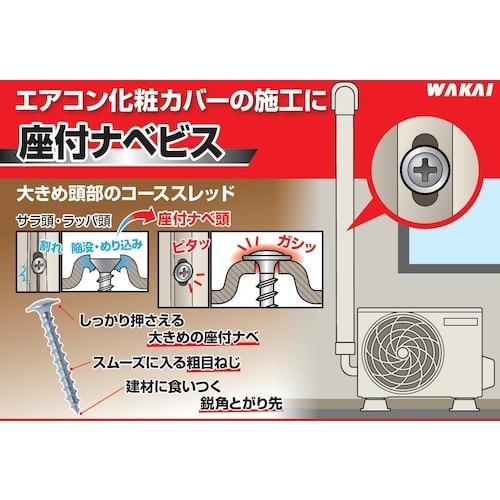 WAKAI VP)座付ナベビス 32