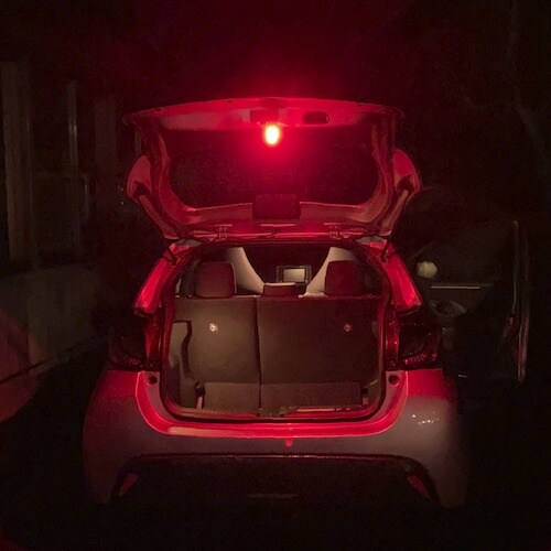 ライティンゲイル プロ仕様マルチワークライト ブラ