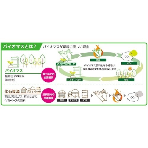 クイン バイオマス手袋PVC 40枚入 S