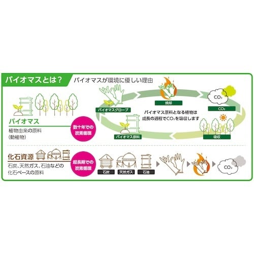 クイン バイオマス手袋PVC 40枚入 L