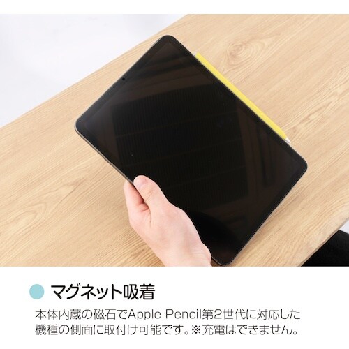 ナカバヤシ iPad専用充電式タッチペン ライトイ