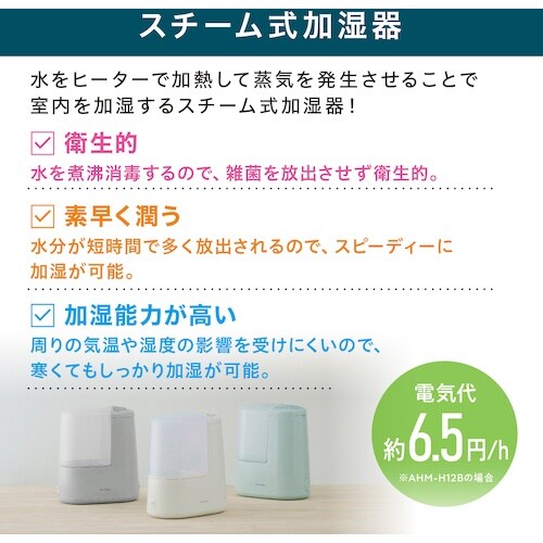 IRIS 298101 スチーム式加湿器 260m