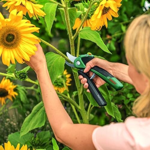 ボッシュ コードレス剪定バサミ イージープルーンE