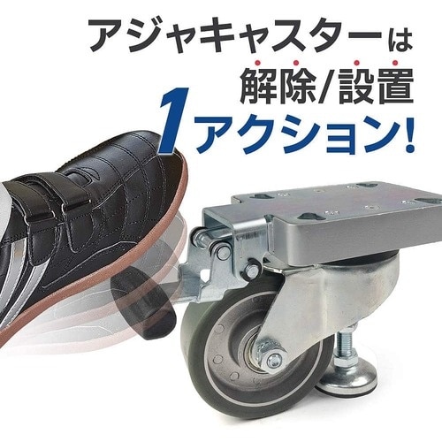 SUGATSUNE (200056023)AJC1