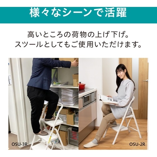 IRIS 踏台・椅子・ディスプレイラック 2999
