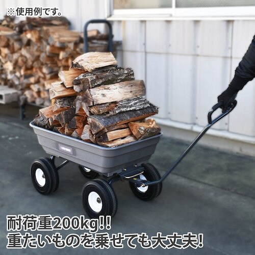 アストロプロダクツ AP プラスチックダンプタブキ