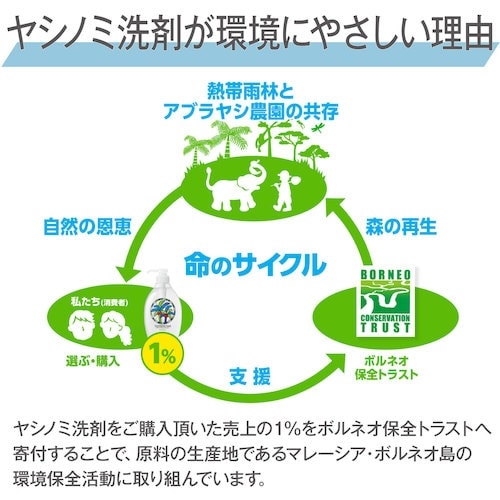 サラヤ ヤシノミ洗剤10kg八角BIB