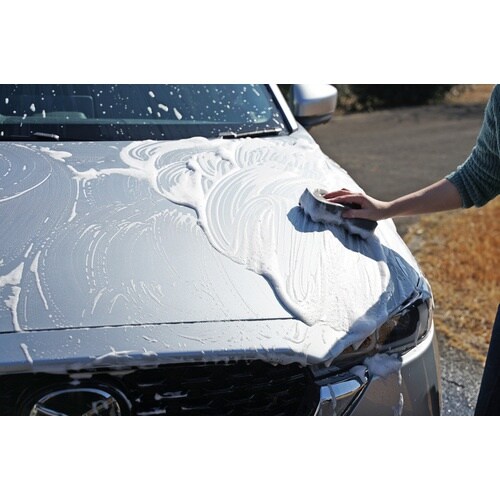 SOFT99 ALAUNEN アワテクシャンプー