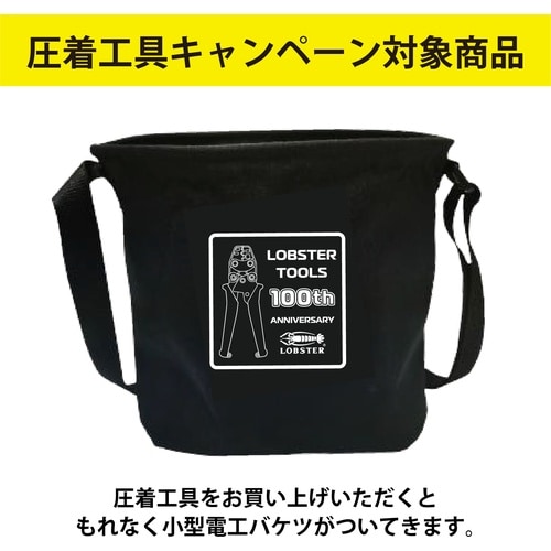 エビ 【数量限定 キャンペーン品】AK17MA2+