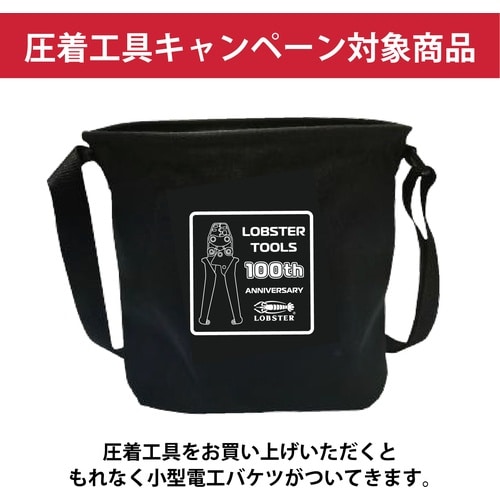 エビ 【数量限定 キャンペーン品】AK2MA+電工