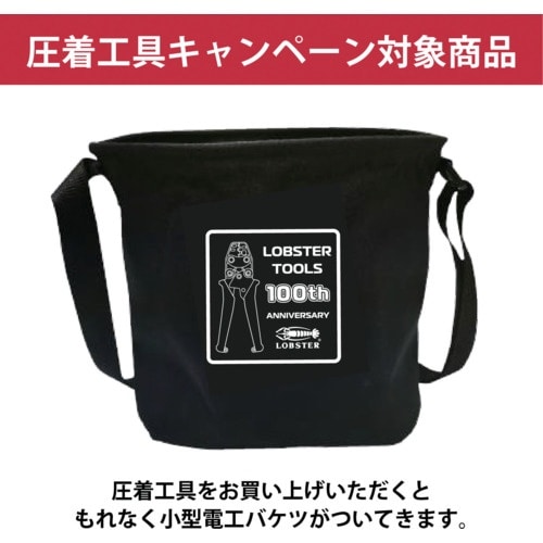 エビ 【数量限定 キャンペーン品】AK15A+電工