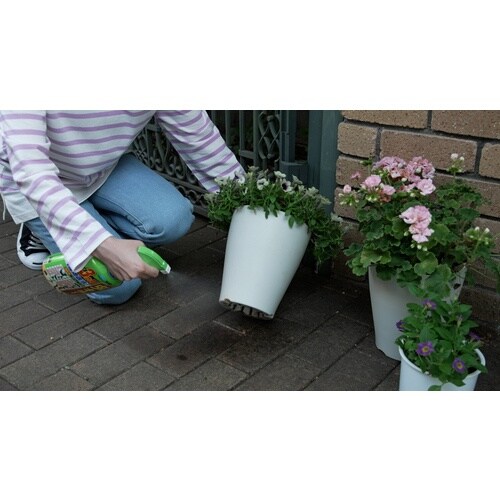 フマキラー カダンお庭の虫キラーハンドスプレー10