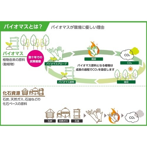 クイン バイオマス手袋PE 100枚入 S