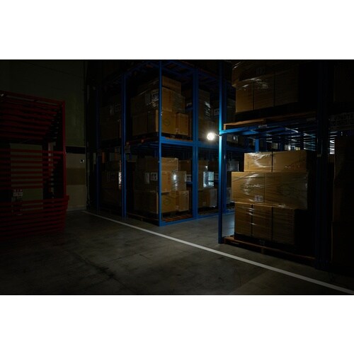 IRIS 107186 PROLEDS LEDクリ