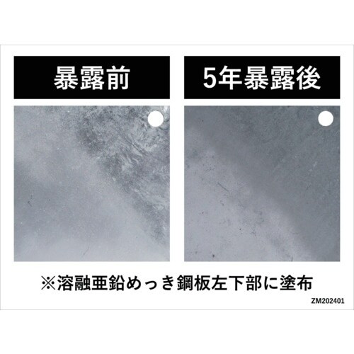 NIS ジンクプラスネオMスプレー 420ML