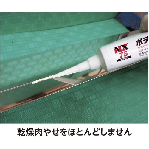 イチネンケミカルズ ボディーシーラー (肉もち・上