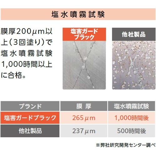 イチネンケミカルズ 塩害ガード 白 1kg