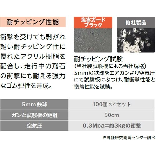 イチネンケミカルズ 塩害ガード 白 1kg