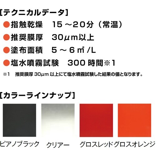 イチネンケミカルズ 塩害ガード クリアー 1kg